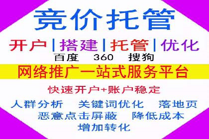金融行业SEM服务的创新应用与效果